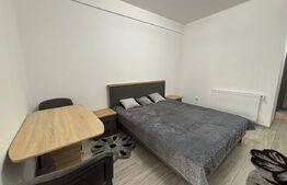Apartament 1 cameră tip studio, 40 mp, zona Palas 