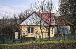 Casă noua cu 1150 mp teren  – Schitu Duca