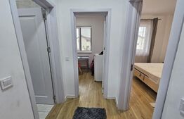 Apartament 1 camera, Zona: Hlincea