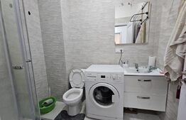 Apartament 1 camera, Zona: Hlincea