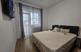 Apartament 1 camera, Zona: Hlincea