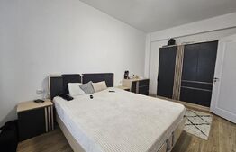 Apartament 1 camera, Zona: Hlincea