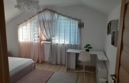 Vilă modernă P+E în Miroslava complet mobilată și utilată 