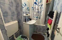 Apartament, 2 camere, Mircea Cel Batran 