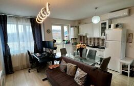 Apartament cu 2 camere, Bucium 