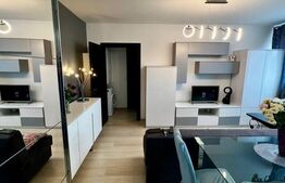 Apartament cu 2 camere, Bucium 