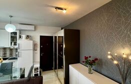 Apartament cu 2 camere, Bucium 