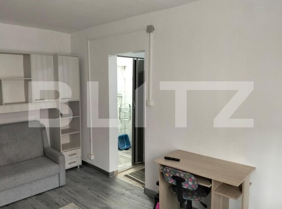 Garsonieră de vânzare Frumoasa - 193533AV | BLITZ Iași | Poza3