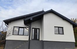 Casa de vânzare 3 camere Valea Adanca - 189684CV | BLITZ Iași | Poza2