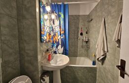 Apartament 3 camere, etaj intermediar, 53 mp, zona Dacia