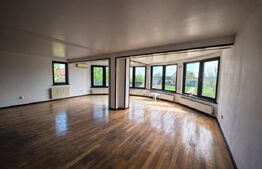 Casă, 287 mp utili , teren generos 2250 mp– Valea Ursului