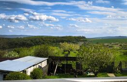 Casă, 287 mp utili , teren generos 2250 mp– Valea Ursului