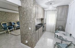 Apartament 2 camere, 50 mp, zona Pacurari 