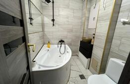 Apartament 1 cameră, 30.48 mp, zona Podul de Piatra