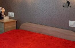 Apartament 2 camere, 56m2, Vișan