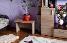 Apartament 2 camere, 56m2, Vișan