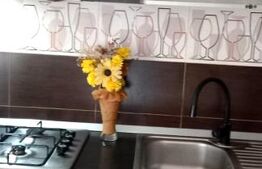 Apartament 2 camere, 56m2, Vișan