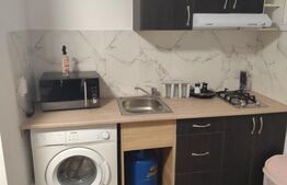 Camera camin 17 mp, zona Bularga