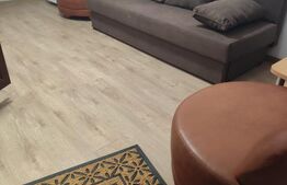 Camera camin 17 mp, zona Bularga