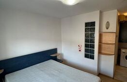 Apartament 2 camere de vânzare, 44 mp, zona Palas