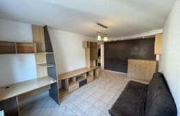 Apartament 2 camere de vânzare, 44 mp, zona Palas