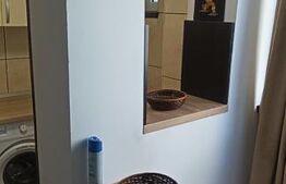 GARSONIERA 1 CAMERA Alexandru Cel Bun 