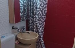 GARSONIERA 1 CAMERA Alexandru Cel Bun 