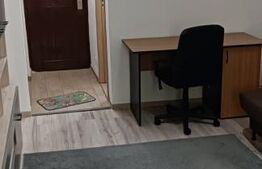 GARSONIERA 1 CAMERA Alexandru Cel Bun 