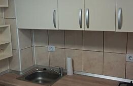 GARSONIERA 1 CAMERA Alexandru Cel Bun 