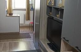 GARSONIERA 1 CAMERA Alexandru Cel Bun 