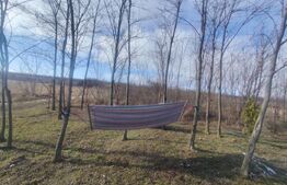 Cabana de lemn cu  700mp intravilan, Ciurea