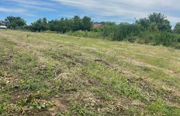 Teren 500 mp intravilan Valea Ursului-