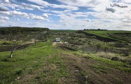 Teren 500 mp intravilan Valea Ursului-