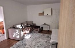 Apartament 2 camere, 42 mp, parter – zona Alexandru cel Bun