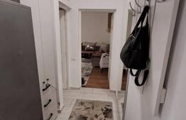 Apartament 2 camere, 42 mp, parter – zona Alexandru cel Bun