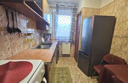 Apartament 2 camere, 40 mp, zona Podul Ros (Sindicate)