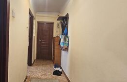 Apartament 2 camere, 40 mp, zona Podul Ros (Sindicate)