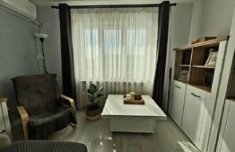 Apartament 2 camere, renovat cu parcare, 58 mp, zona Dancu