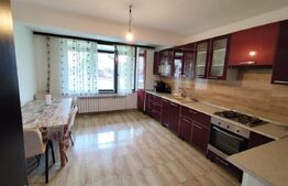 Casă 221 mp utili, teren 1378 mp, Valea Adanca, langa soseaua principala, asfalt