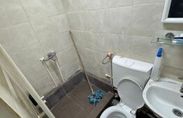 Spatiu comercial, 100 mp cladire, 200 mp curte/parcare, zona Frumoasa