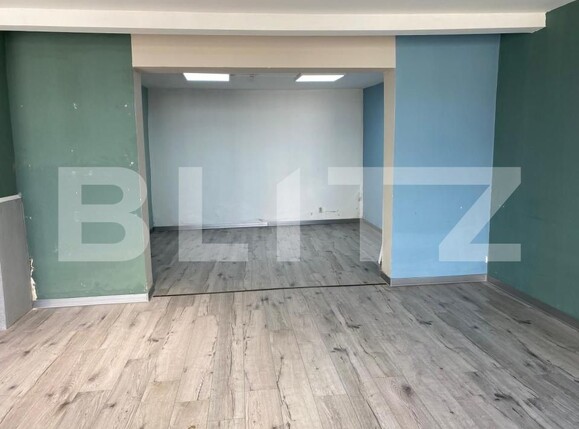 Spațiu comercial de închiriat Frumoasa - 194823SIC | BLITZ Iași | Poza4