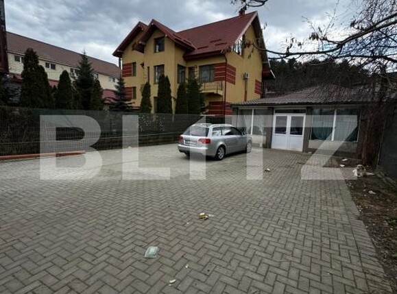 Spațiu comercial de închiriat Frumoasa - 194823SIC | BLITZ Iași | Poza1