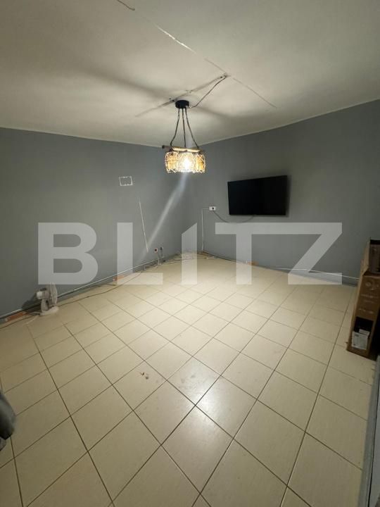 Spațiu comercial de închiriat Frumoasa - 194823SIC | BLITZ Iași | Poza24