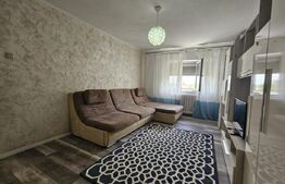 Apartament o camera, 30 mp, zona Metalurgiei