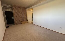 Apartament 2 camere, 46 mp, zona Ciurea 