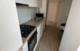 Apartament 2 camere de închiriat, 56 mp – Evergreen Towers, Tătărași 