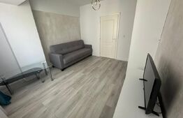 Apartament 2 camere de închiriat, 56 mp – Evergreen Towers, Tătărași 