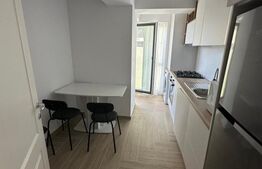 Apartament 2 camere de închiriat, 56 mp – Evergreen Towers, Tătărași 