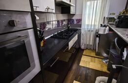 Apartament 3 camere la parter-mobilat utilat – Dacia