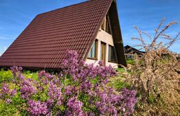 Casă tip A - Frame, 100 mp, priveliște panoramică, zona Tomesti 